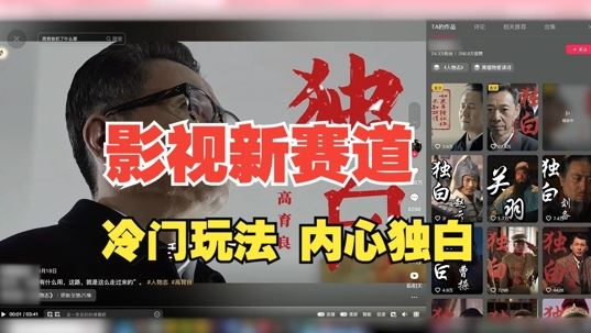 影视解说新玩法：人物独白30天涨粉24万全流程揭秘-无双副业