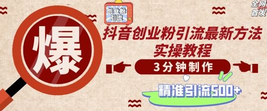 抖音创业粉引流技巧，轻松日增500+精准粉丝-无双副业