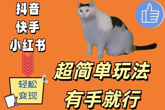 靠猫咪视频日入500+的简单玩法揭秘-无双副业