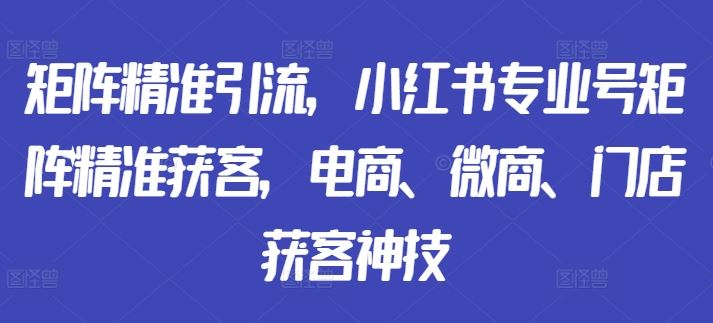 小红书专业号矩阵精准获客与运营全攻略-无双副业