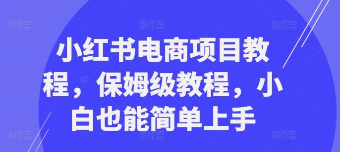 小红书电商项目从入门到精通，轻松上手全攻略-无双副业