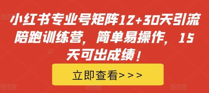 小红书专业号矩阵引流训练营，15天快速见效，简单易操作-无双副业