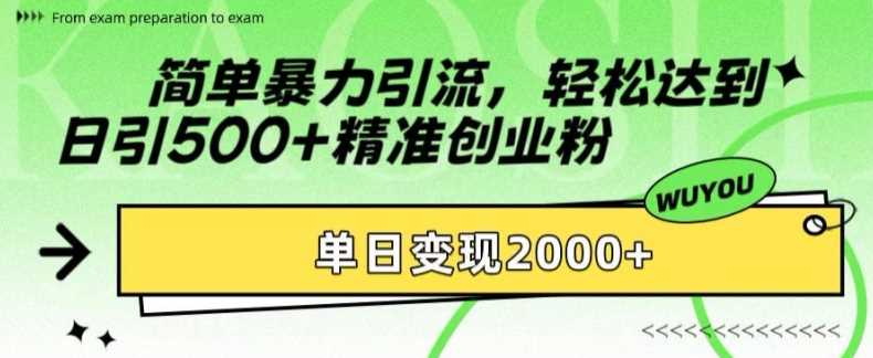 2024年最新创业粉引流方法，日引500+精准粉轻松变现-无双副业