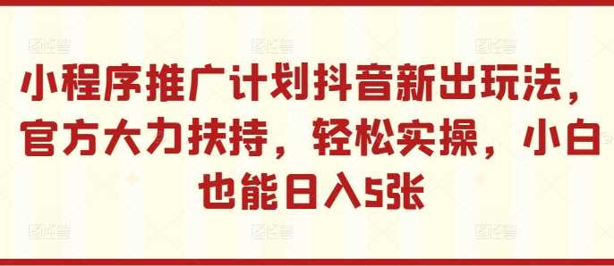 抖音小程序推广新玩法，官方扶持，小白轻松日入5张-无双副业