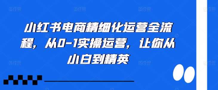 小红书电商运营全流程，从0到1实操指南-无双副业
