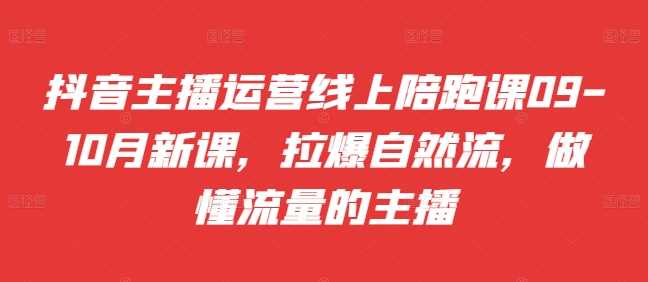 抖音主播运营线上陪跑课，拉爆自然流，做懂流量的主播-无双副业
