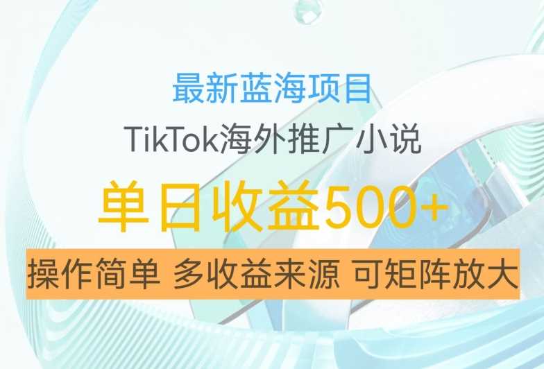 利用TikTok海外推广小说赚钱，简单易学日入500+-无双副业