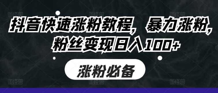抖音快速涨粉与粉丝变现全攻略-无双副业