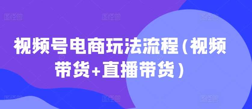 视频号电商玩法全流程解析：视频带货与直播带货实战指南-无双副业