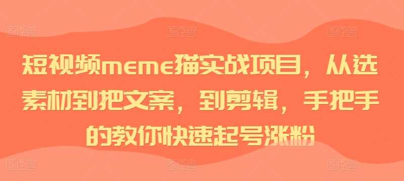 短视频meme猫项目实战：从素材到剪辑快速起号涨粉-无双副业