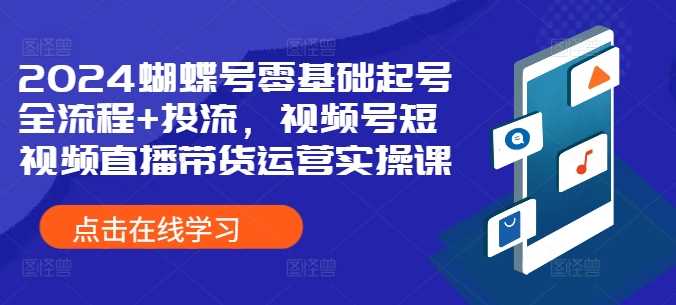2024视频号零基础起号与投流全流程实操指南-无双副业