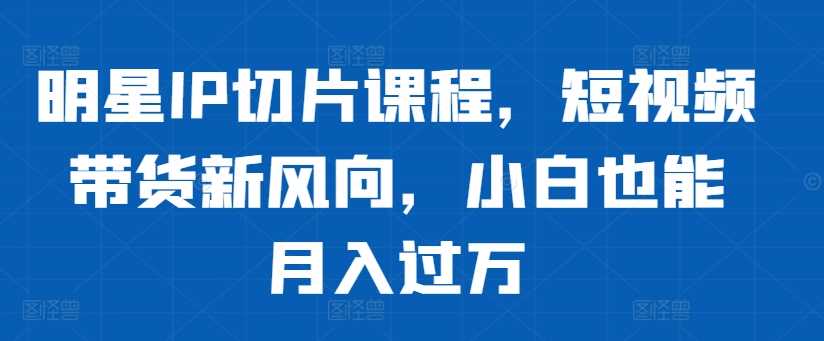 明星IP切片课程：短视频带货新趋势，轻松月入过万-无双副业