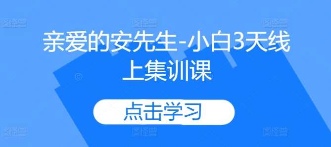安先生小白3天线上集训课程-无双副业