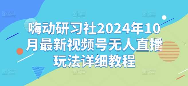 2024年视频号无人直播玩法与技巧全解析-无双副业