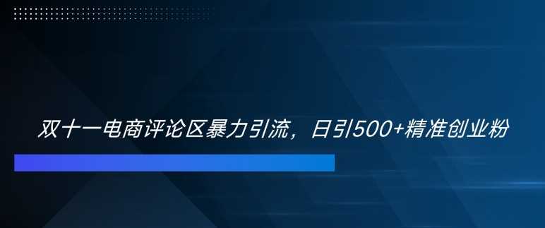 双十一电商评论区引流技巧，日引500+精准创业粉-无双副业