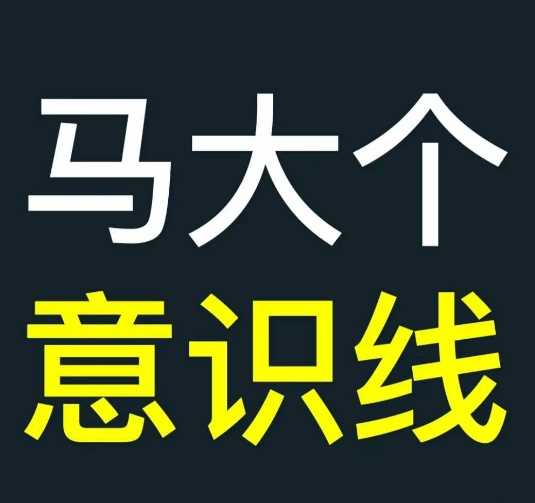马大个意识线课程：能力线与意识线的深度解析-无双副业