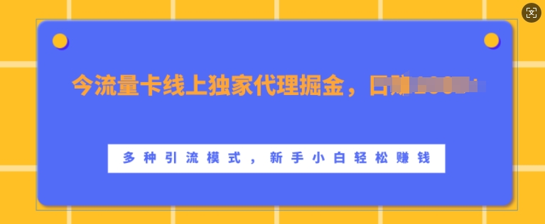 流量卡线上代理掘金，日入1k+，多种引流模式轻松上手-无双副业