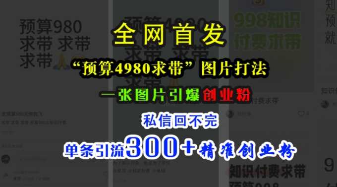 小红书图片引流创业粉，单条笔记精准引流300+-无双副业