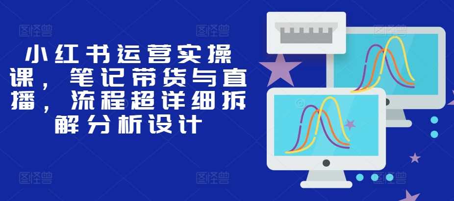 小红书运营实操课：笔记带货与直播流程详细拆解-无双副业