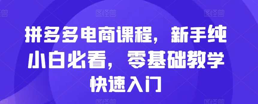 拼多多电商零基础快速入门教程，新手必看-无双副业