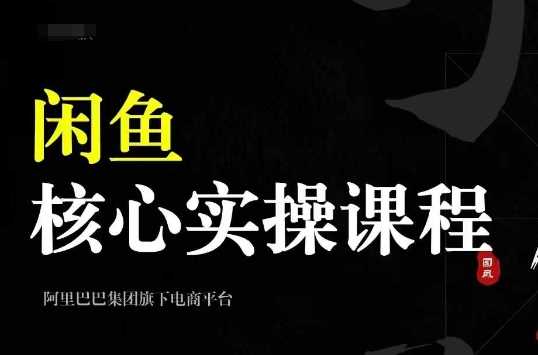 2024闲鱼实操全攻略：养号选品发布销售技巧-无双副业