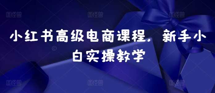 小红书电商运营全攻略：从开店到爆单实操指南-无双副业