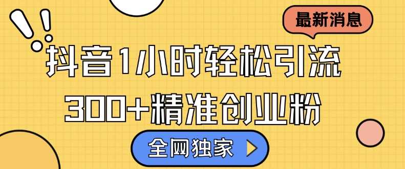 抖音精准引流技巧，日引300+创业粉轻松实现-无双副业