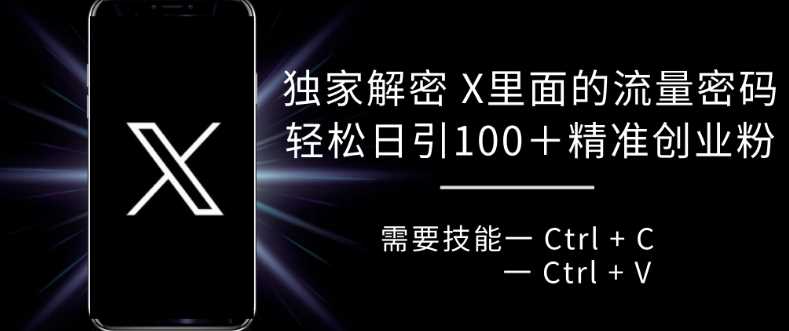 揭秘X平台流量密码，轻松日引100+精准用户-无双副业