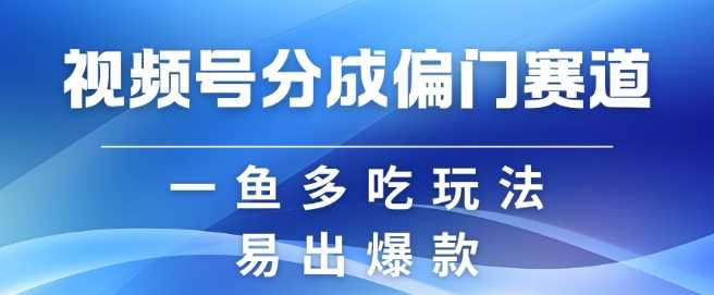 视频号偏门类目创作指南：简单易做，收益高-无双副业