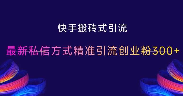 快手私信精准引流创业粉300+最新方法-无双副业