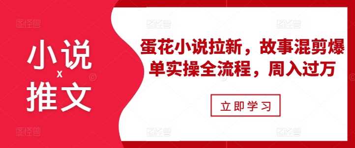 蛋花小说拉新与故事混剪爆单实操，周入过万指南-无双副业