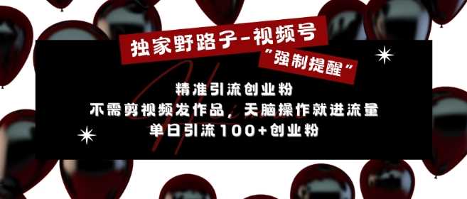 视频号强制提醒引流技巧，轻松获取创业粉-无双副业