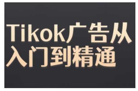 Tiktok广告投放全攻略：从基础到高级策略-无双副业