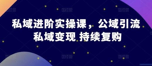 私域运营全攻略：引流变现与持续复购实战指南-无双副业