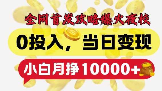 夜校项目揭秘：0投入高回报，小白轻松月入过万-无双副业