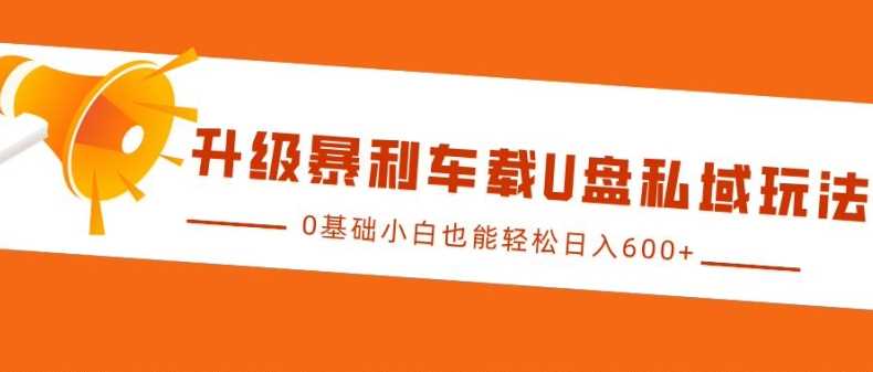 车载U盘私域玩法揭秘，小白轻松日入多张-无双副业