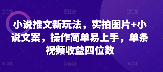 小说推文新玩法：实拍图片与文案结合，轻松实现高收益-无双副业