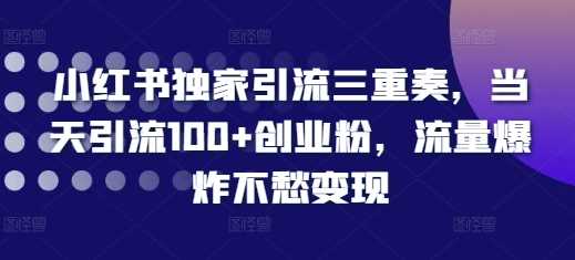 小红书独家引流技术，单日引流创业粉100+-无双副业