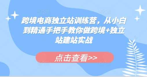跨境电商独立站建站与运营实战指南-无双副业