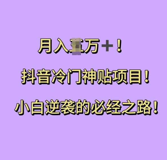 抖音冷门神贴项目揭秘：小白逆袭月入过万指南-无双副业