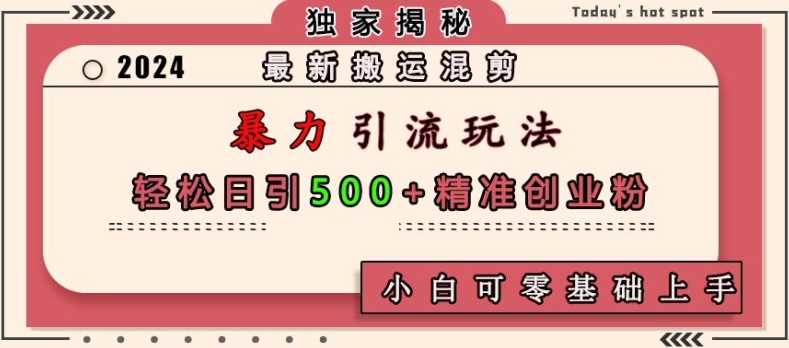 搬运混剪暴力引流玩法，日引500+精准创业粉-无双副业