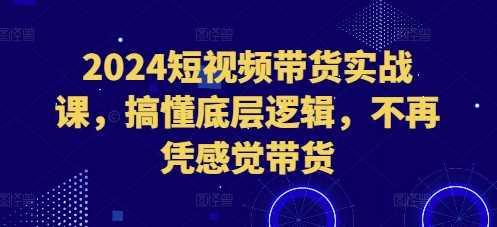 2024短视频带货实战：掌握底层逻辑提升销量-无双副业