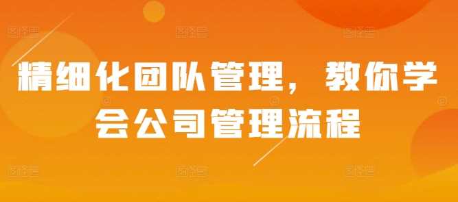 掌握公司管理流程，实现精细化团队管理-无双副业
