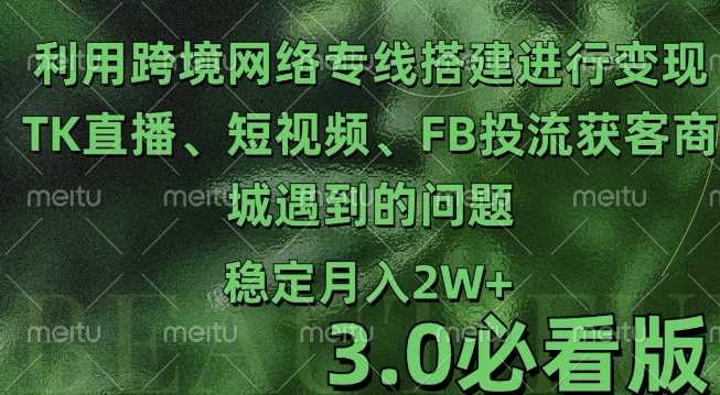 跨境电商网络搭建与TK直播短视频FB投流获客变现指南-无双副业