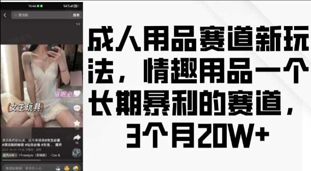 成人用品赛道暴利玩法揭秘，3个月收益20万-无双副业