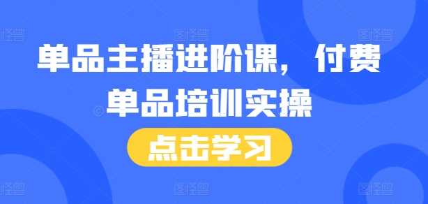 单品主播进阶培训课程，46节实操与话术本-无双副业