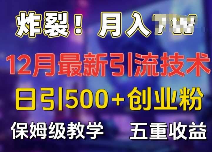 揭秘12月最新日引流500+精准创业粉与多重收益教学-无双副业