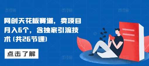 网创赛道卖项目月入6万，含独家引流技术26节课-无双副业
