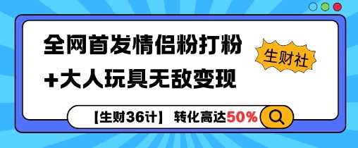 情侣粉引流与成人玩具变现策略-无双副业