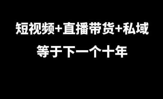 短视频直播带货与私域结合，未来十年趋势与实战经验分享-无双副业